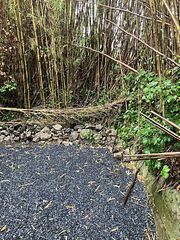 ocean kids mint-image