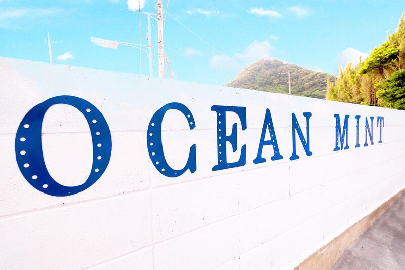 ocean kids mint-image