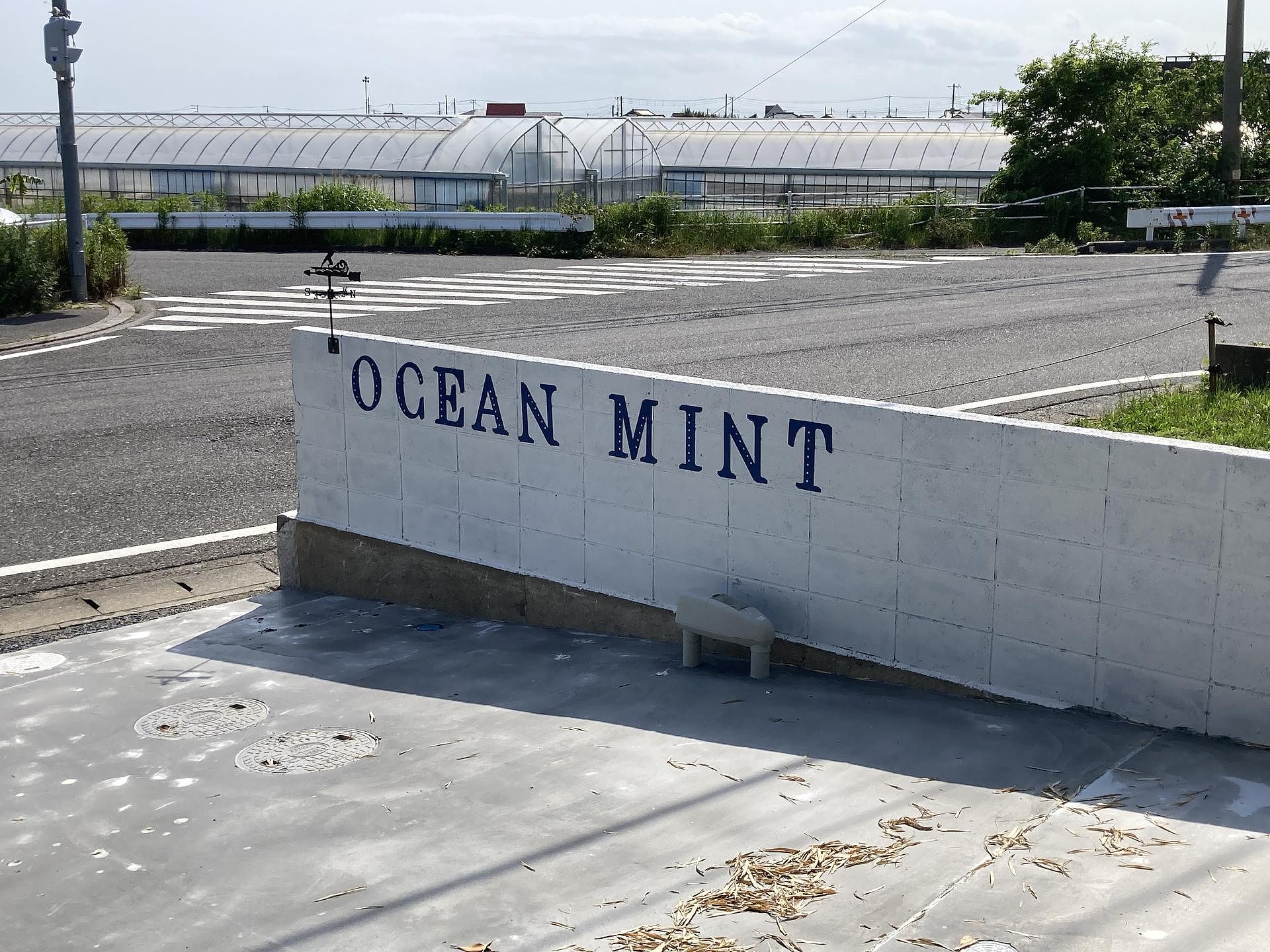 ocean kids mint-image