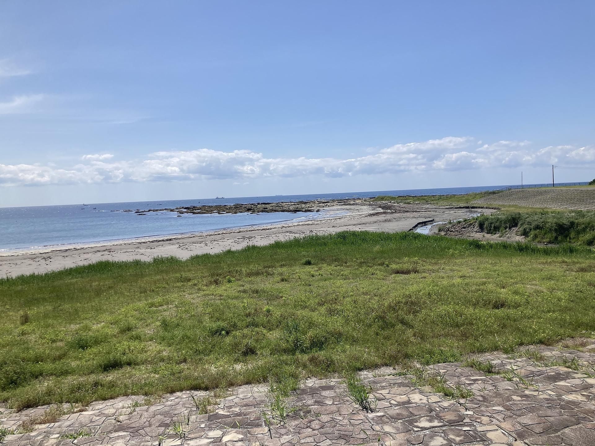 ocean kids mint-image