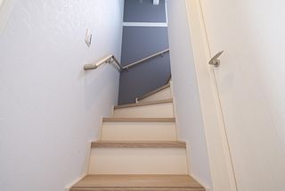 ocean kids mint-image