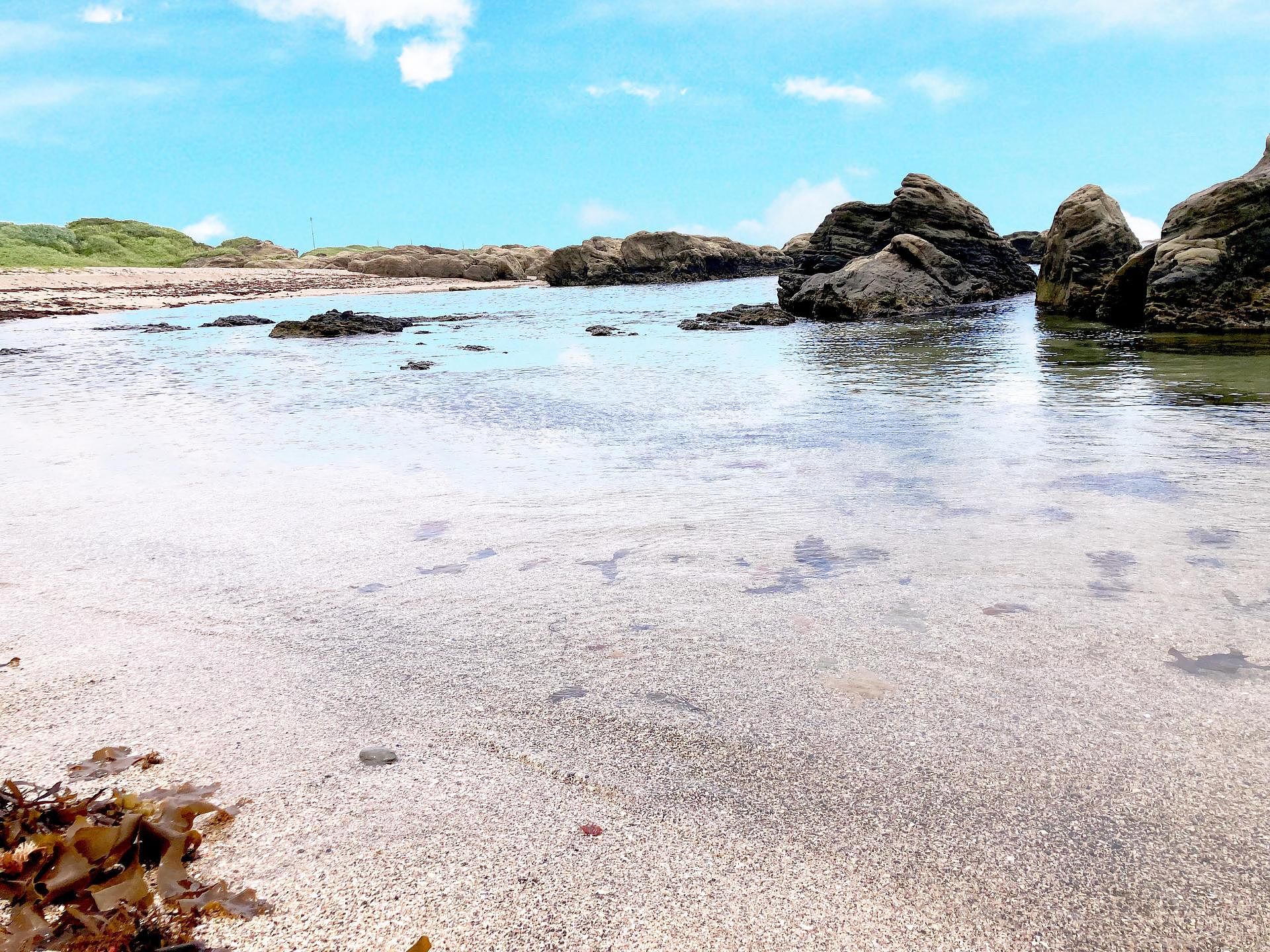 ocean kids mint-image