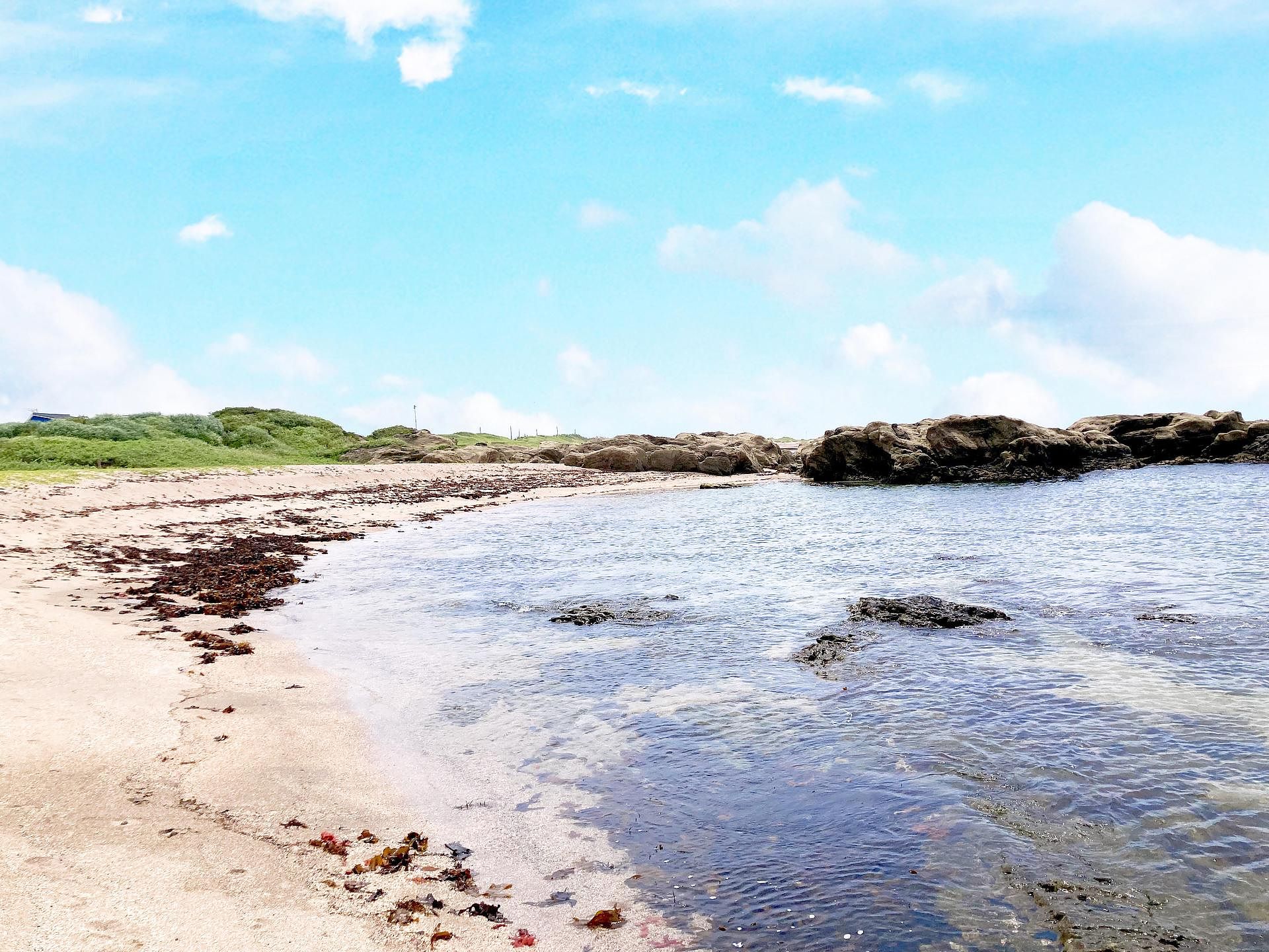 ocean kids mint-image