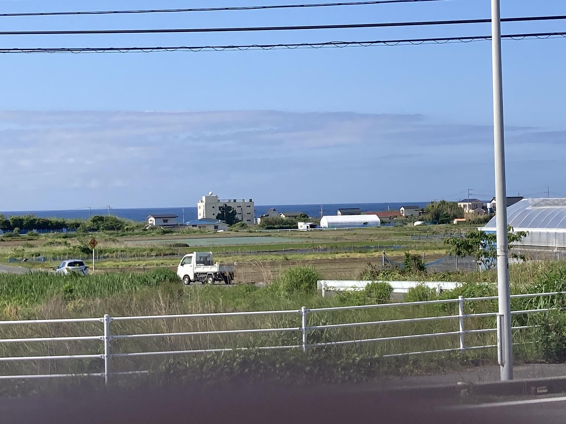 ocean kids mint-image