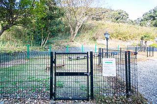 デュエットリゾート白浜サルビア-image