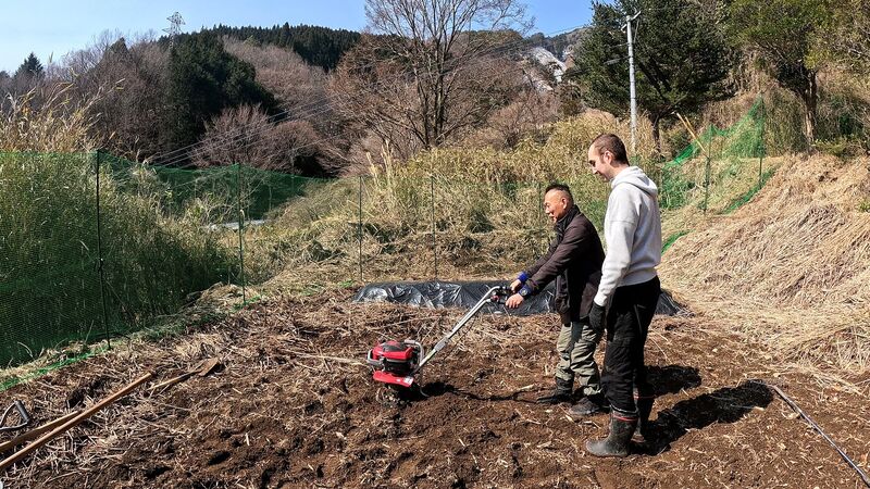 農業体験