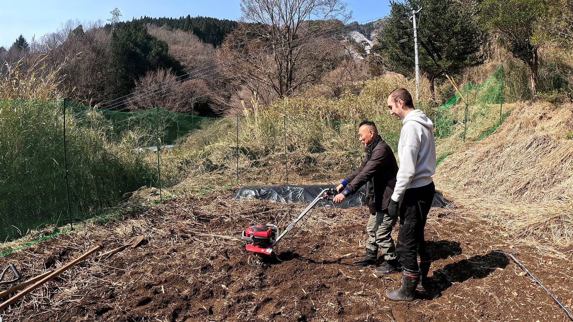 農業体験