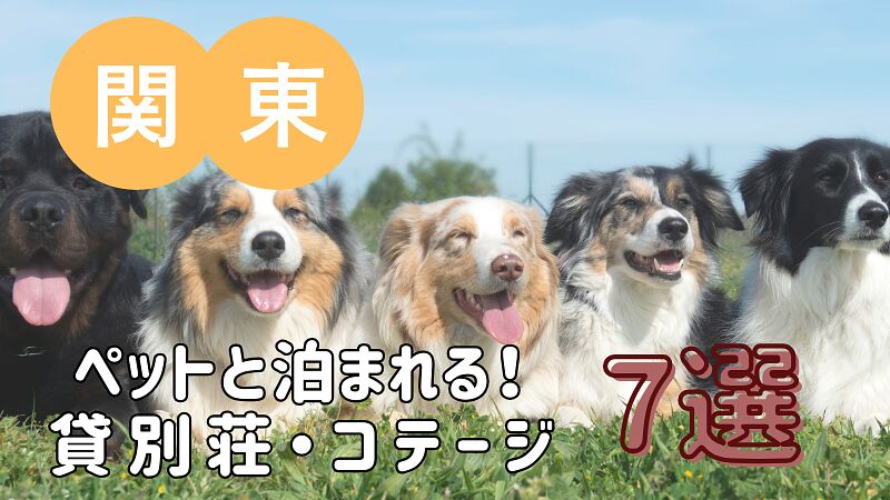 ペットと泊まれる!貸別荘・コテージ・一棟貸し 7選【関東編】
