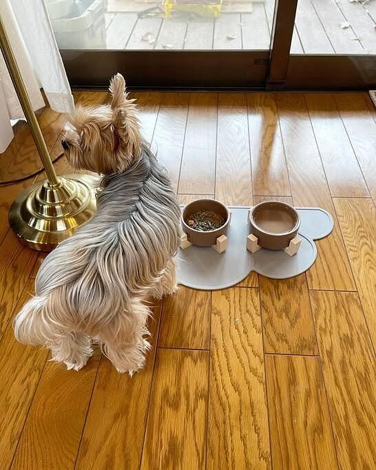  PAPRUM BASE北軽井沢-image