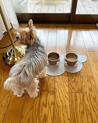 PAPRUM BASE北軽井沢-image