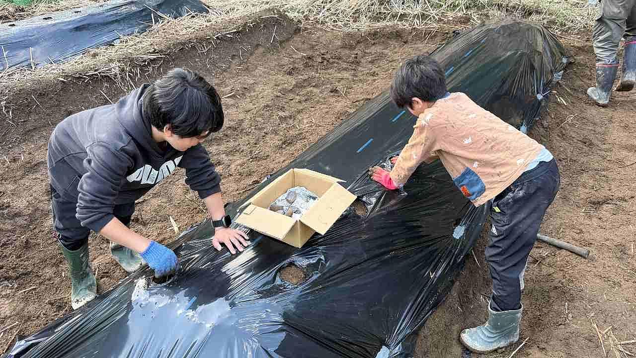 農業体験