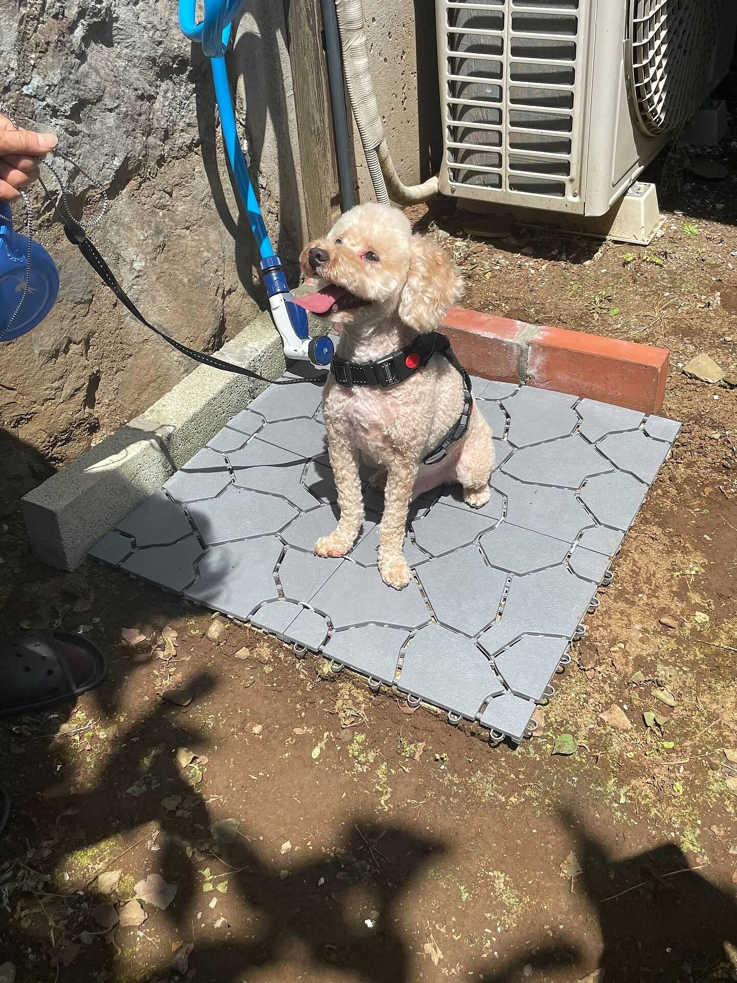 安吏樹リゾート修善寺-image