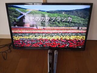 ボルダリング&SPA-安吏樹リゾート修善寺ANNEX--image