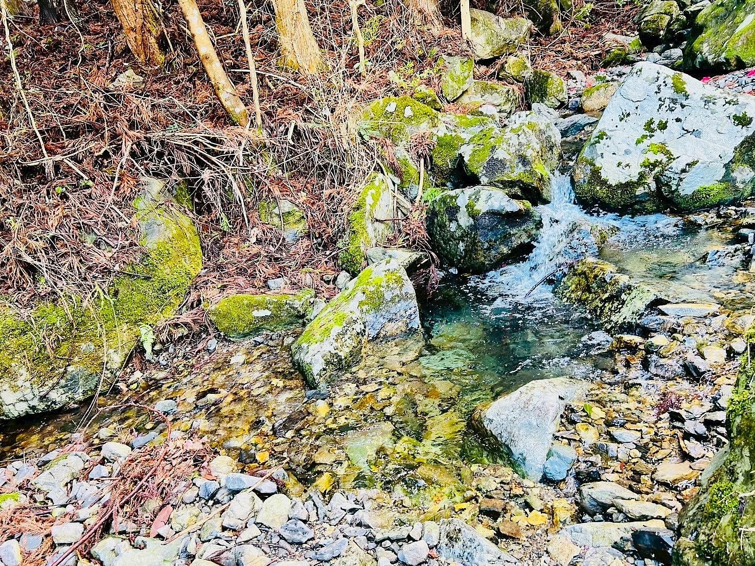 ほとりに川が流れています