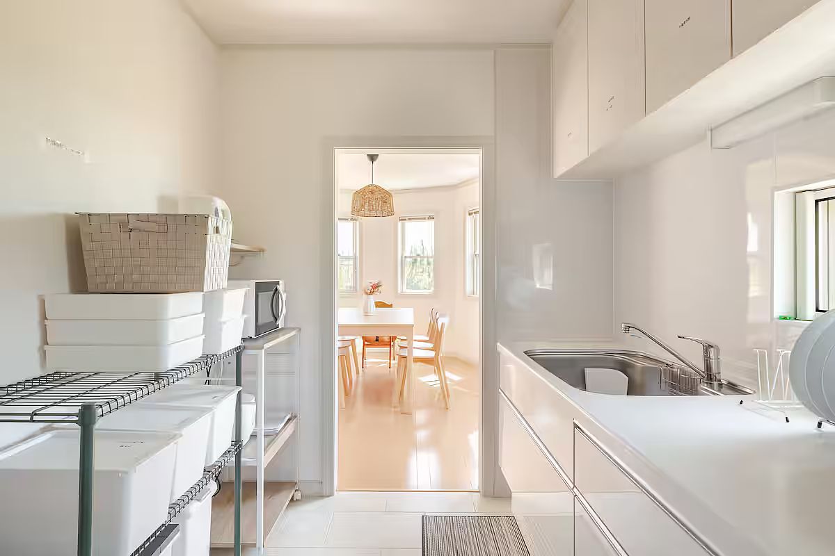 ANGO KUJUKURI Ⅰ-image