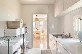 ANGO KUJUKURI Ⅰ-image