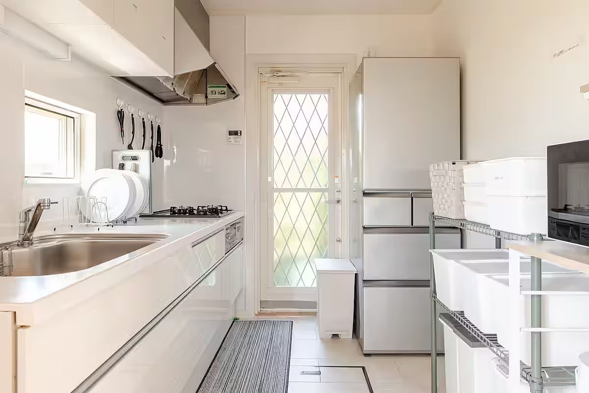 ANGO KUJUKURI Ⅰ-image