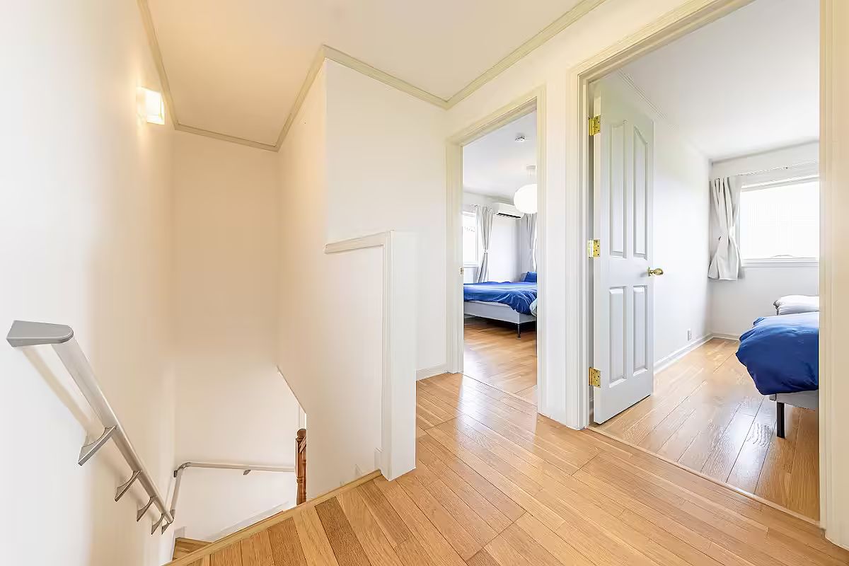 ANGO KUJUKURI Ⅰ-image