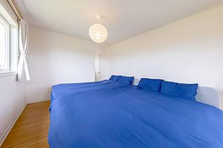 ANGO KUJUKURI Ⅰ-image