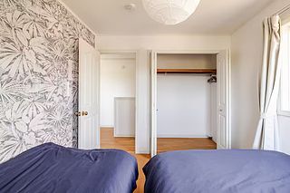 ANGO KUJUKURI Ⅰ-image