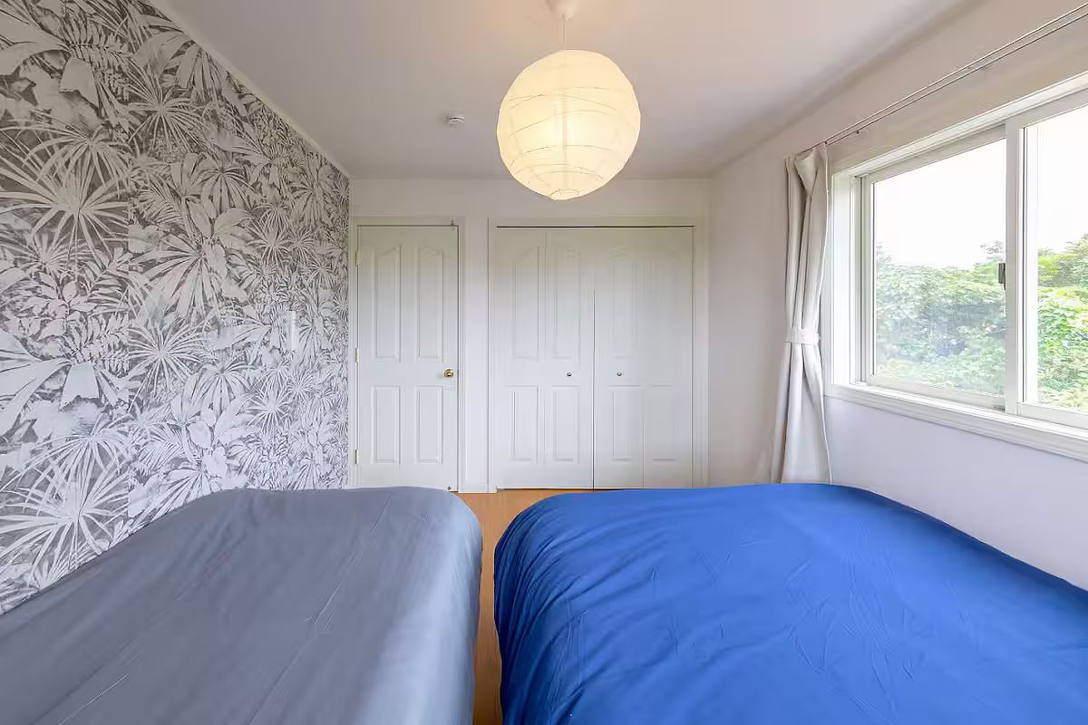 ANGO KUJUKURI Ⅰ-image