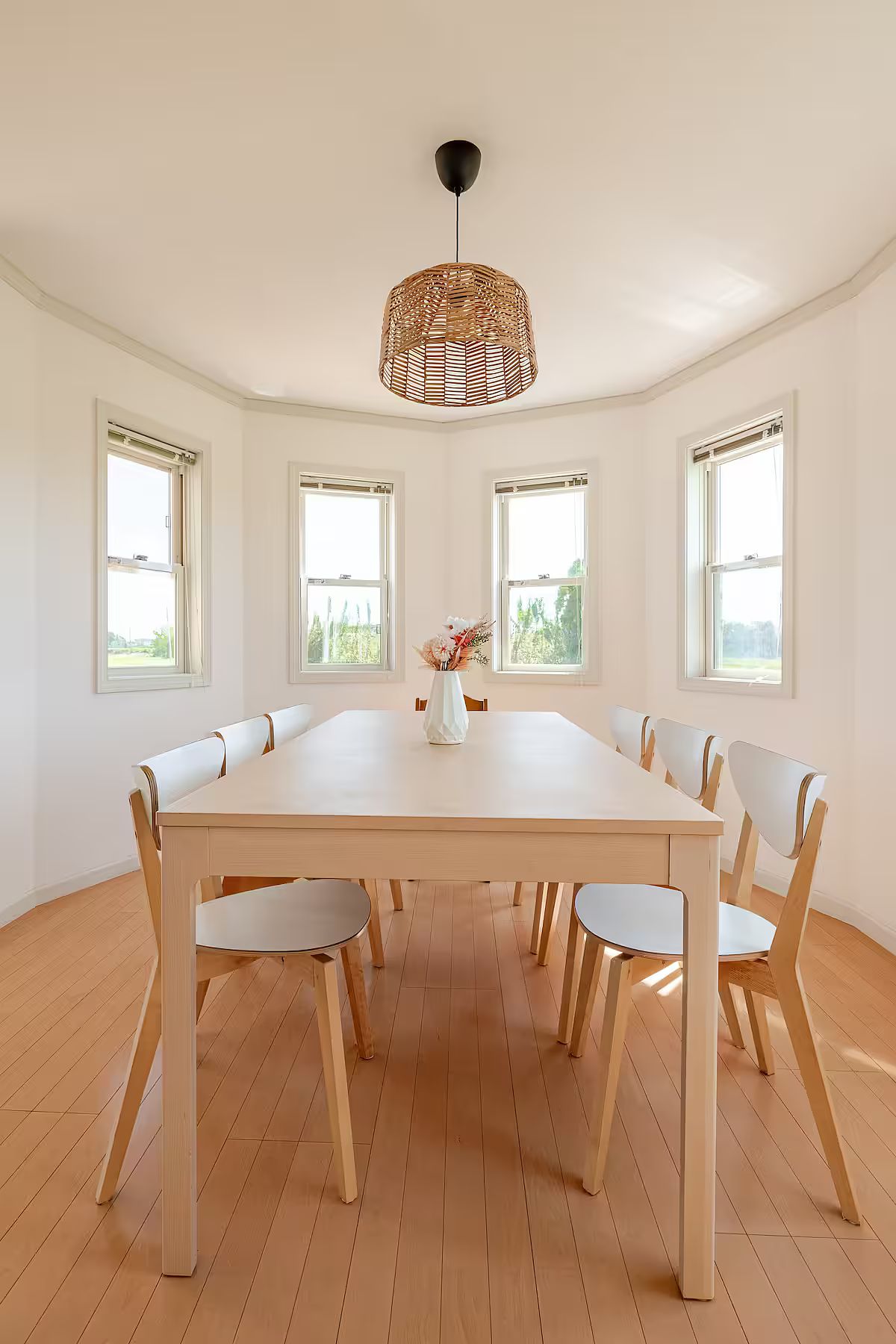 ANGO KUJUKURI Ⅰ-image