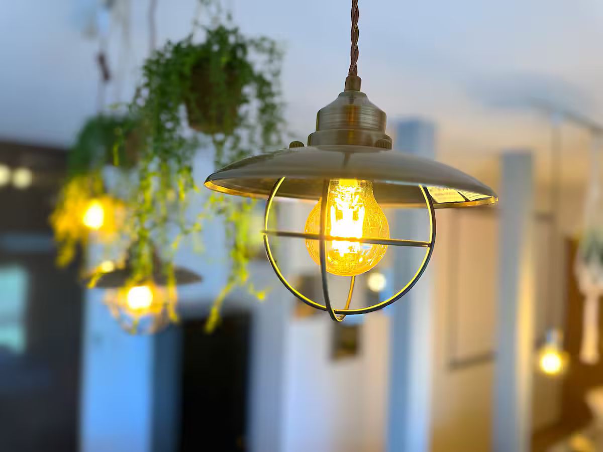 ANGO KUJUKURI Ⅲ-image