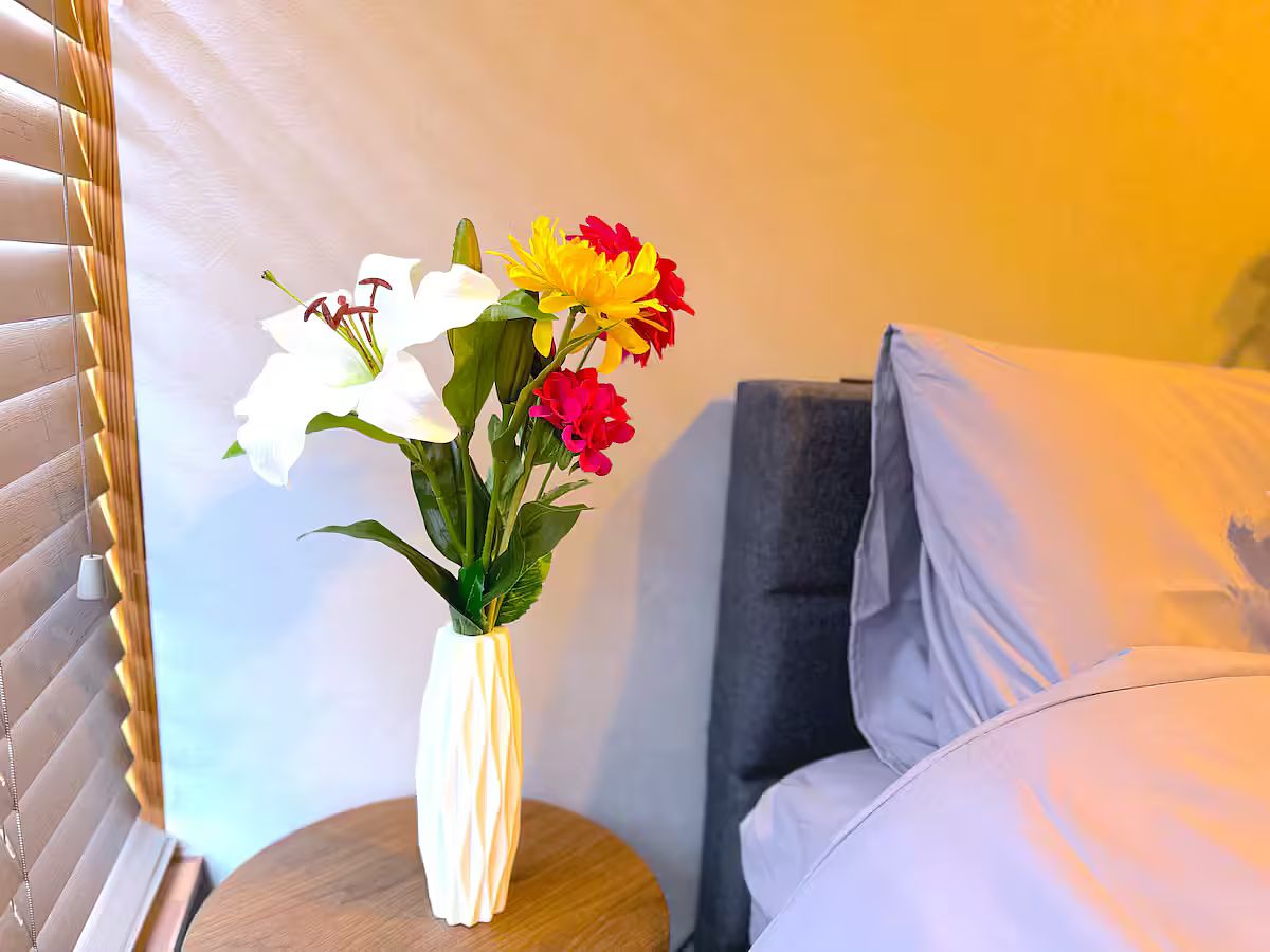 ANGO KUJUKURI Ⅲ-image