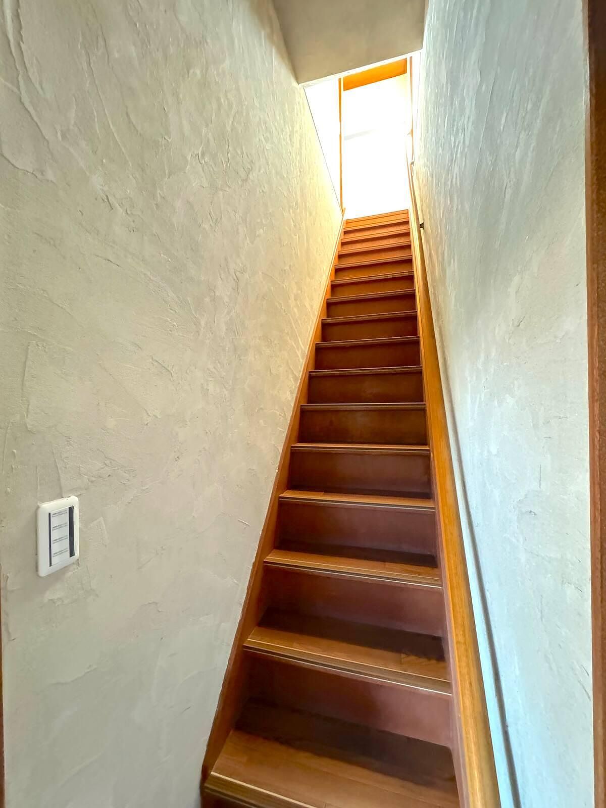 ANGO KUJUKURI Ⅲ-image