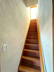 ANGO KUJUKURI Ⅲ-image