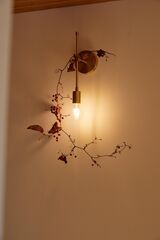 Sauna Villa ITADORI サウナヴィラ板取-image