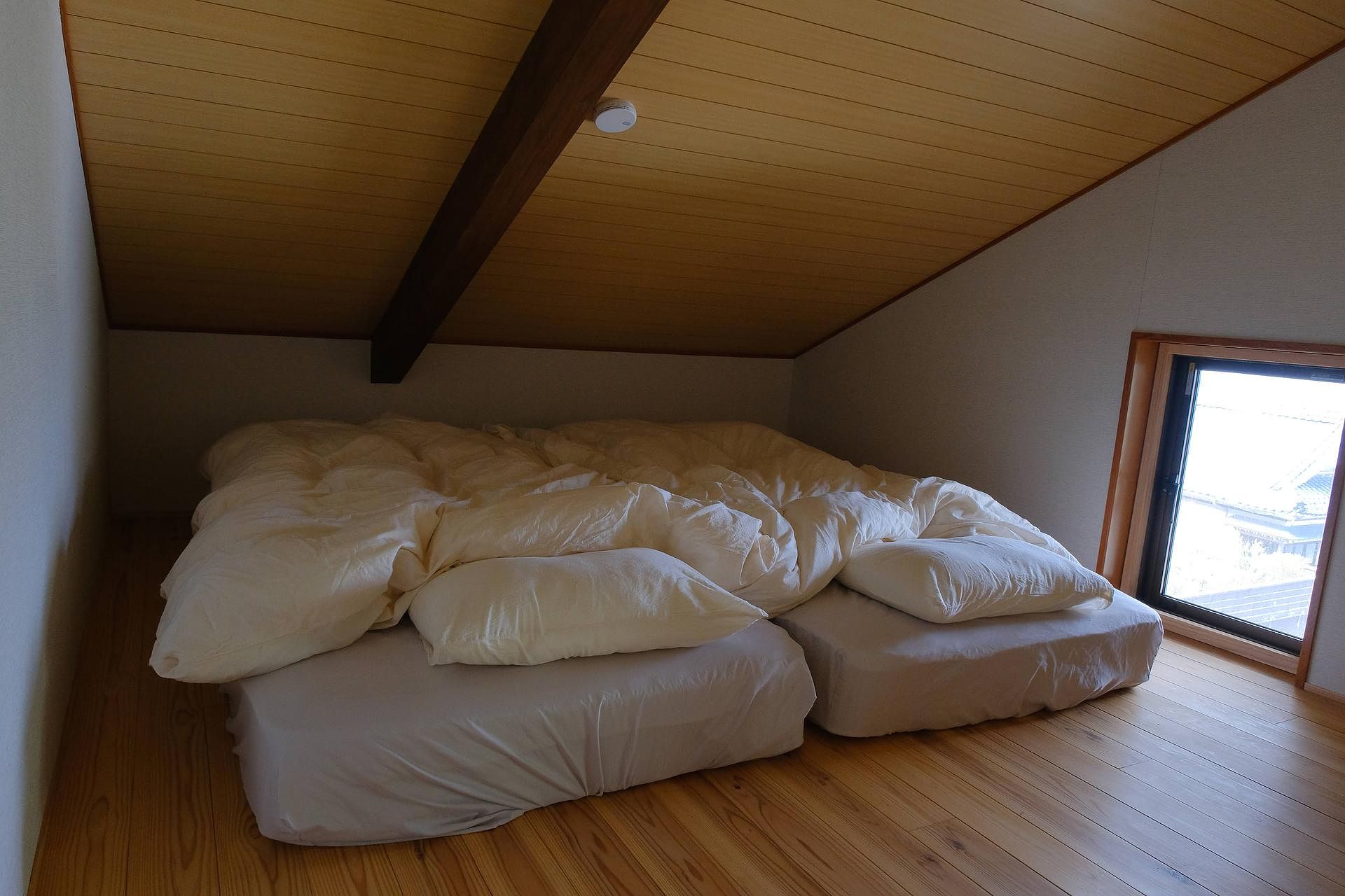 ワタリグラスハウス-image