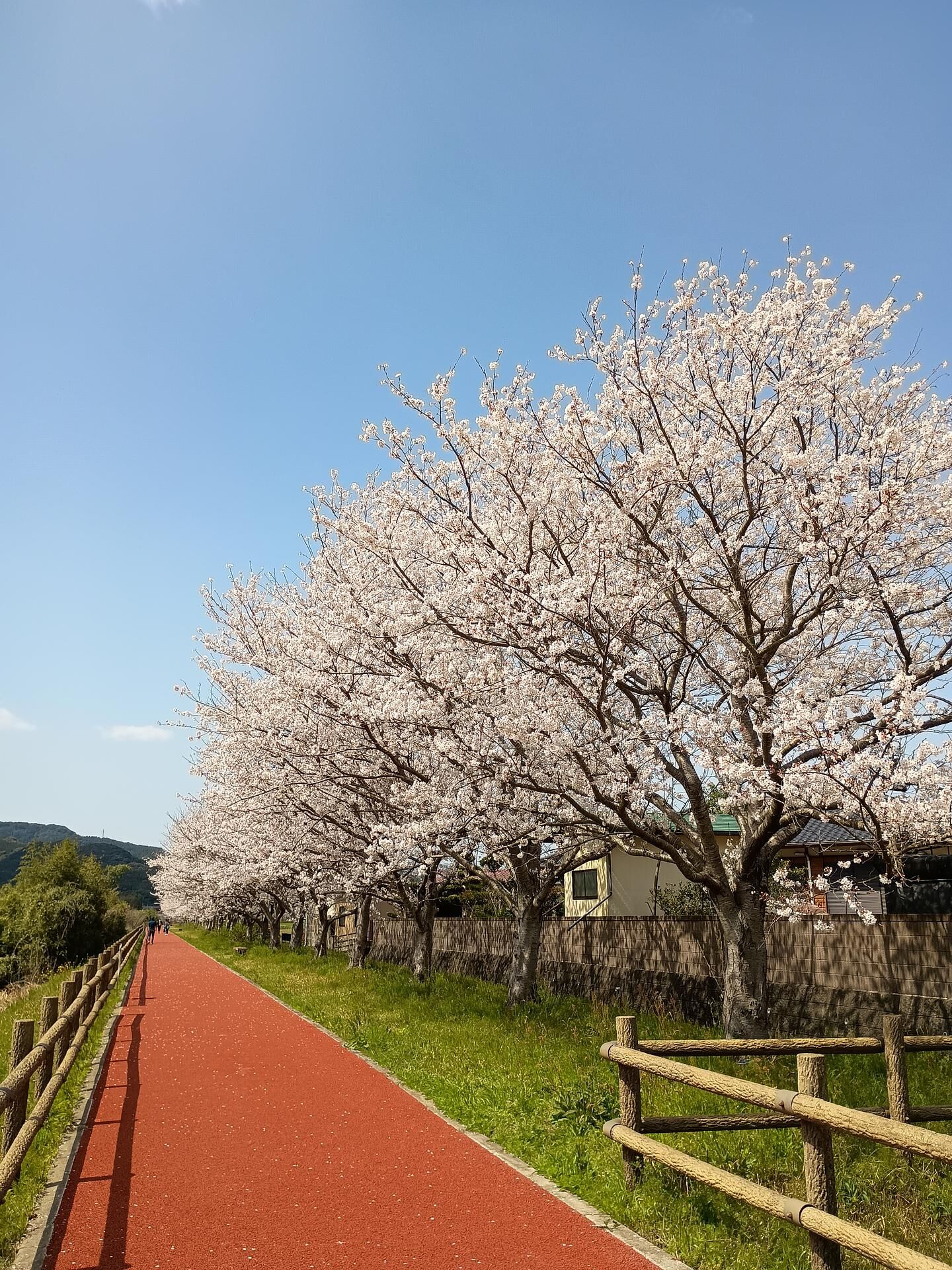 くつろ郷-image