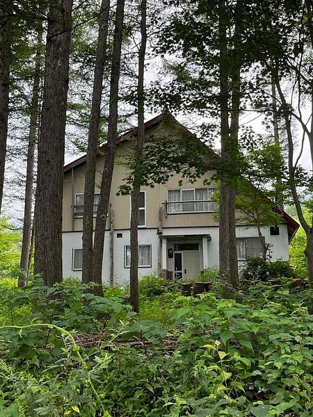 毎日鳥の囀りが聞こえます。