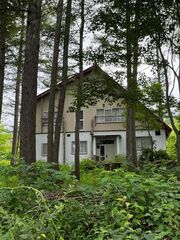 毎日鳥の囀りが聞こえます。