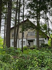 毎日鳥の囀りが聞こえます。