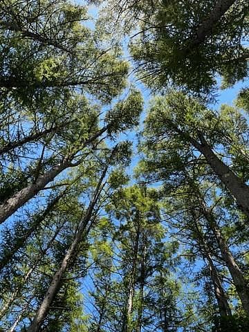 Trail Madarao So-image