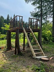 Trail Madarao So-image