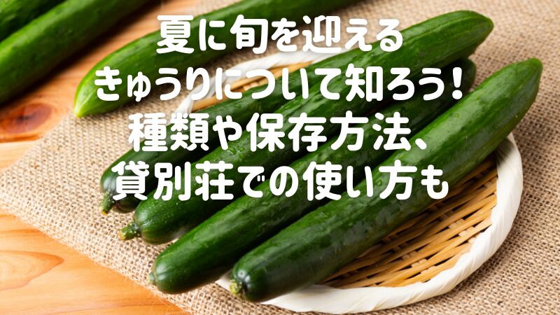 夏に旬を迎えるきゅうりについて知ろう！種類や保存方法、貸別荘での使い方も