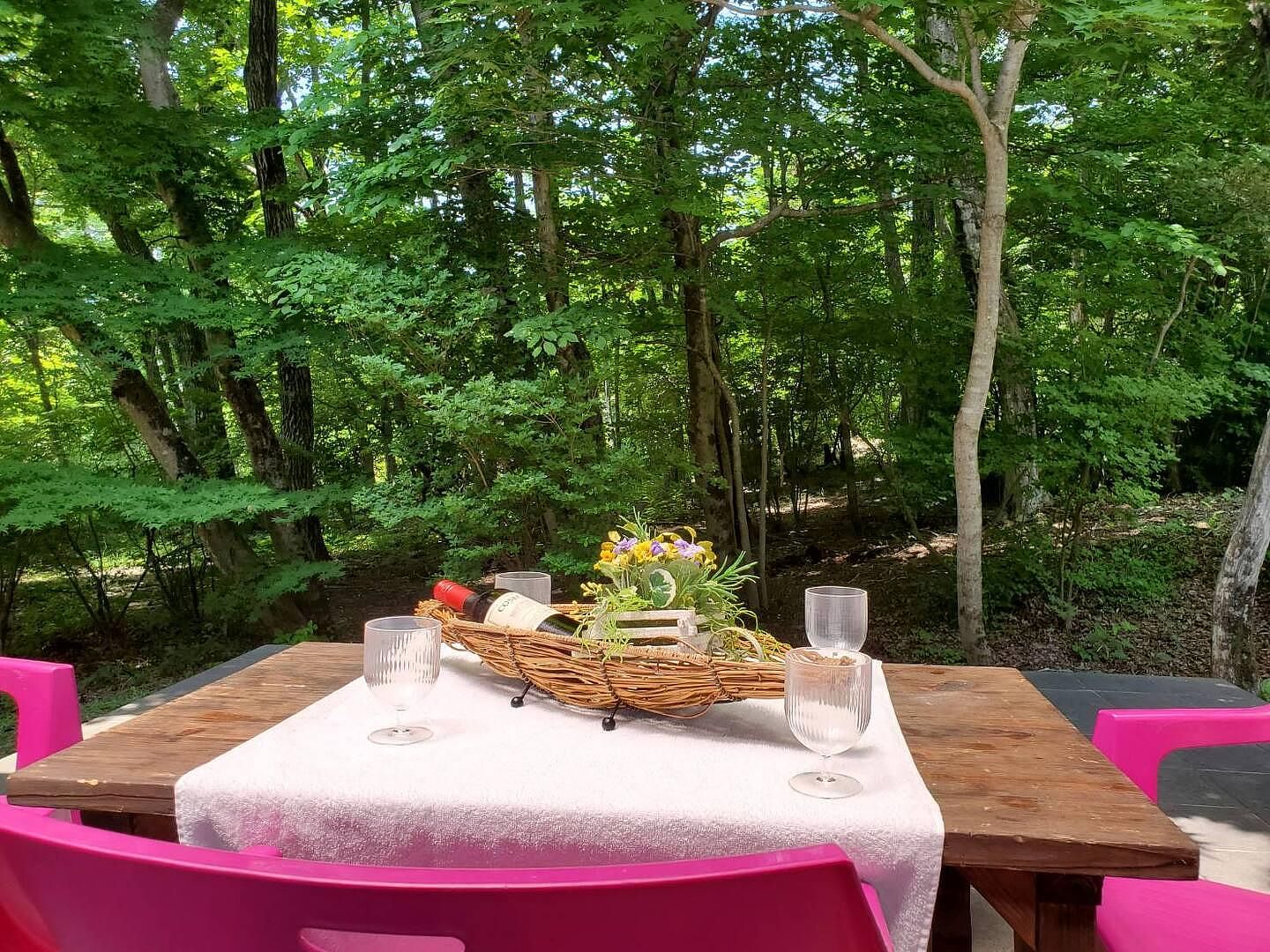 【2棟貸し】デュエットリゾートHana那須アメリカ(A棟B棟)-image