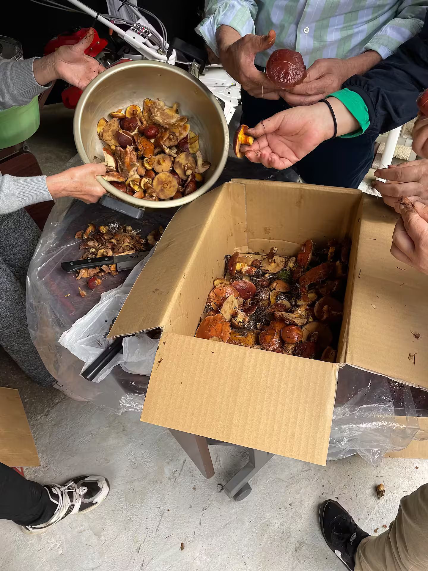 民泊Mozu野三拍子-image