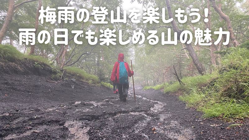 梅雨の登山を楽しもう！雨の日でも楽しめる山の魅力