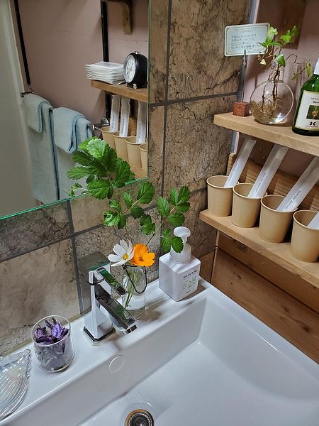 サニタリールーム