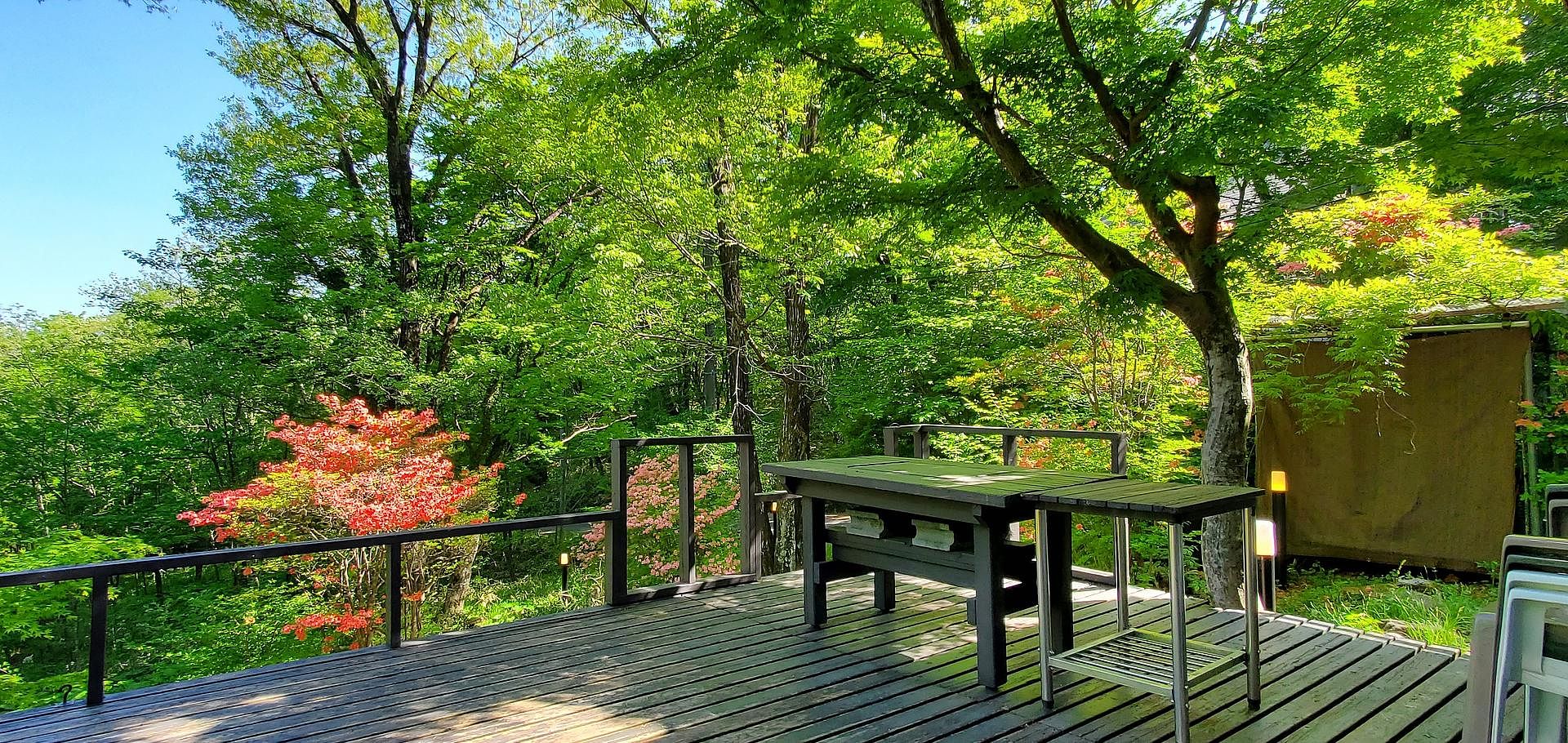 5月のウッドデッキ