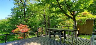 5月のウッドデッキ