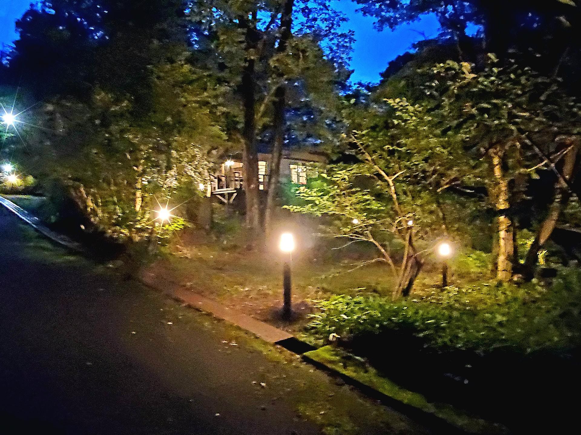 夜のリュウノモリ