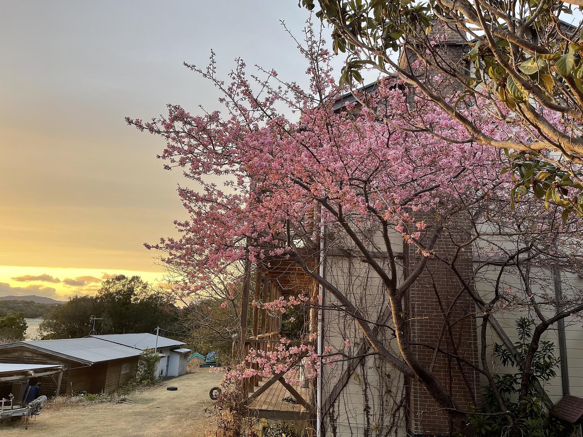 志摩オーシャンクラブ-image