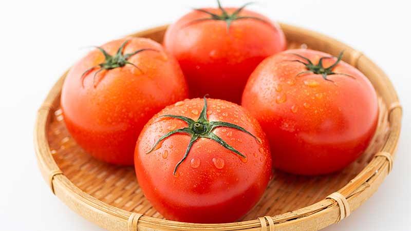 美味しいトマトの選び方