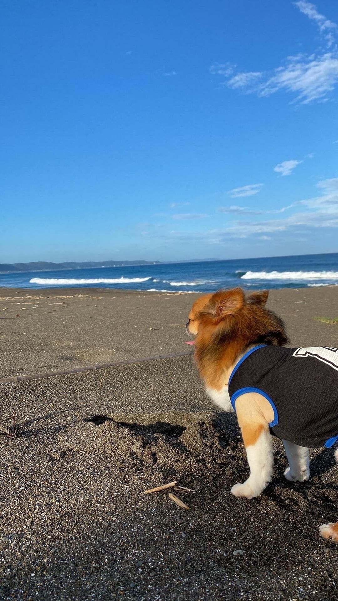 千歳海岸