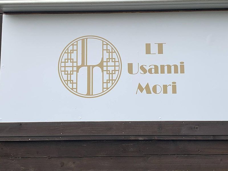 LT Usami Mori-image